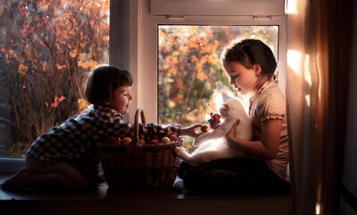 Brother and sister are playing with their white cat and a basket of apples