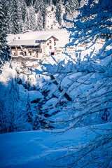 Fototapete bei efototapeten.de bestellen   