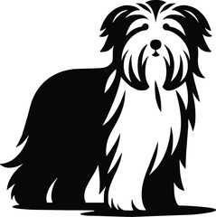 Bearded Collie Black and White Illustration