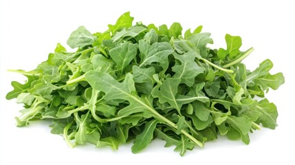 Fototapeta premium A fresh pile of arugula leaves, ideal for salads and garnishes.