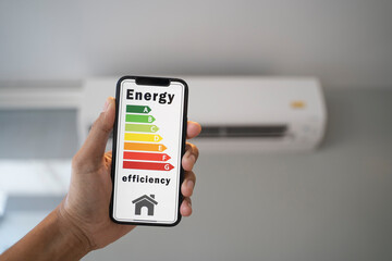 Energy levels can be viewed on mobile phones.