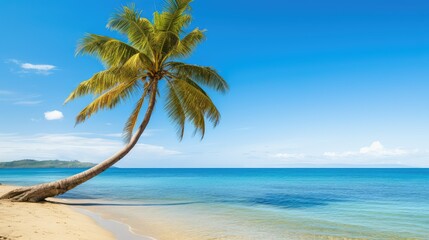 Obraz premium sand ocean beach palm tree