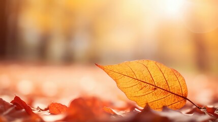 Obraz premium vibrant leaf background