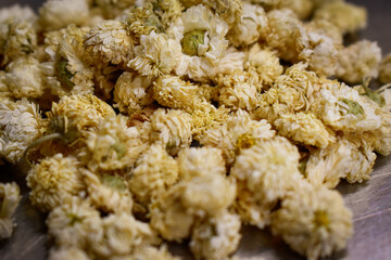 Camomille romaine (Chamaemelum nobile) Fleurs séchées