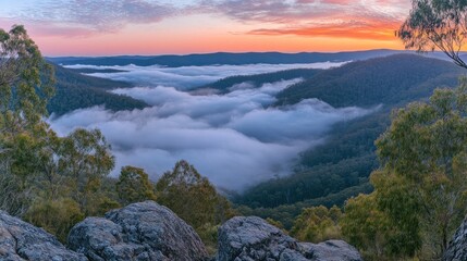 A serene landscape view of rolling hills covered in fog at sunrise.