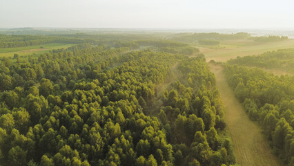 Fototapeta premium Morning light over lush green forest, aerial view
