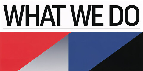 Large "WHAT WE DO" typography in bold black on a clean white background with geometric red and blue triangular accents creating a modern abstract design.


