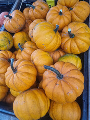 Beautiful buildings, decorative and interior items that will decorate any home.