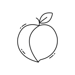 Peach vector icon