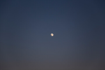 Moon in the dark blue sky at sunset
