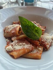 Authentic Italian Pasta with Tomato Sauce, Parmesan Cheese, and Fresh Basil Garnish