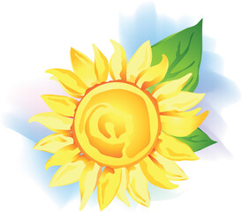 Sunflower wirh green leaf over white