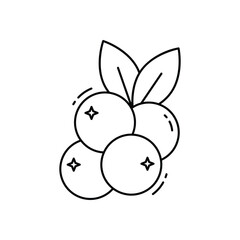 Cranberry  vector icon