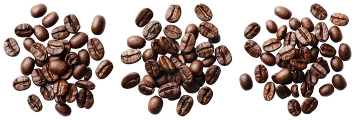 Assorted coffee beans showcasing different roast levels