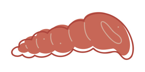 Seashell color. Doodle clip art for your projects.