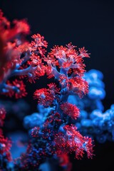 A detailed view of a blooming plant with bright red flowers, suitable for decorative or botanical use