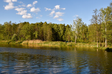 Summer reflections on calm ponds surrounded by lush greenery in Piaseczno