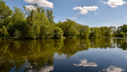 Fototapeta premium Summer reflections on calm ponds surrounded by lush greenery in Piaseczno