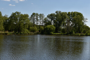 Summer reflections on calm ponds surrounded by lush greenery in Piaseczno