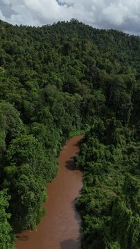 This photograph captures the essence of a secluded jungle river winding through a lush, dense forest. The river, resembling veins on the land, serves as a lifeline for the diverse ecosystem surroundin