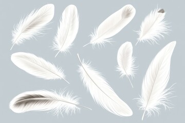 Obraz premium A close-up shot of a collection of white feathers against a blue background, ideal for use in designs related to purity, innocence, or cleanliness