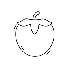Persimmon  vector icon