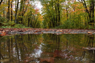 A country road in the autumn, Sainte-Apolline, Québec, Canada