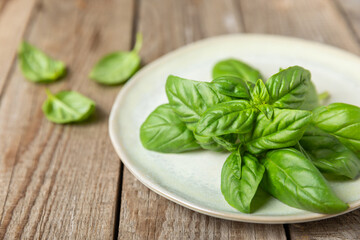 Green basil leaves on a textured wooden background. Kitchen herbs, spices. Fresh green organic basil. Vegan. Greens for salad. Place for text. Copy space.