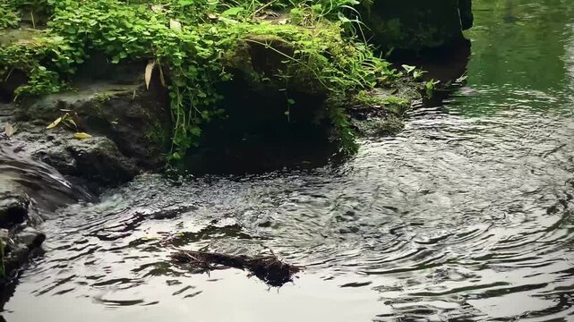 river of beautiful springs