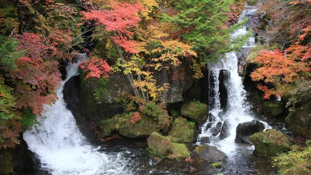 紅葉に映える奥日光三大名瀑の一つ竜頭の滝