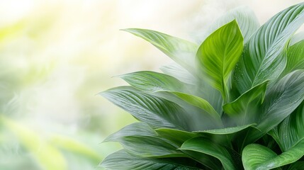 Obraz premium Closeup of a vibrant green plant with glistening water droplets, study in nature's beauty