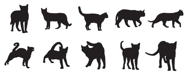 Graceful Cat Silhouette Vector Art Set