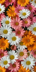 Colorful Daisy Bouquet