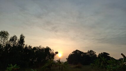 Morning Radiance: Nature’s Beauty Unfolded