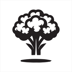 Cauliflower vector
