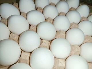 White eggs in trey box raw chicken eggs in paper egg tray on white background. Group of Fresh white Eggs in a cardboard cassette. Organic food from nature good for health