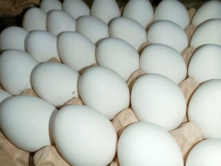 eggs in a carton raw chicken eggs in paper egg tray on white background. Group of Fresh white Eggs in a cardboard cassette. Organic food from nature good for health