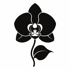 Orchid Elegance vector silhouette black design white background