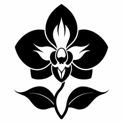 Orchid Elegance vector silhouette black design white background