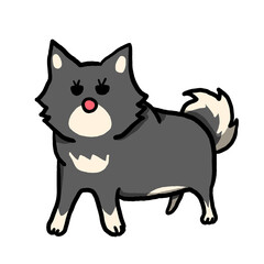 豆じゃないです柴です