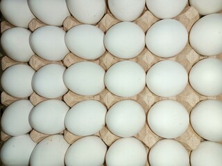 eggs in a carton raw chicken eggs in paper egg tray on white background. Group of Fresh white Eggs in a cardboard cassette. Organic food from nature good for health