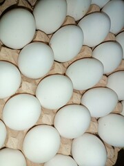 raw chicken eggs in paper egg tray on white background. Group of Fresh white Eggs in a cardboard cassette. Organic food from nature good for health