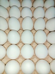 eggs in the package raw chicken eggs in paper egg tray on white background. Group of Fresh white Eggs in a cardboard cassette. Organic food from nature good for health