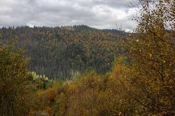 Autumn landscape in the mountain