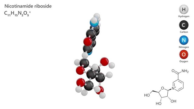 Nicotinamide Riboside. Vitamin B3. Animated 3D model of a molecule. Molecular formula: C11H15N2O5. Chemical model: Ball and sticks. White background. 3D rendering. Seamless loop.