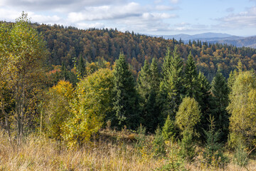 Autumn landscape in the mountain