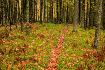 Nature Shows the Way