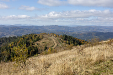 Dirt road in the autumn mountains