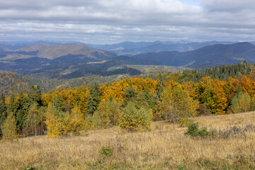 Autumn landscape in the mountain