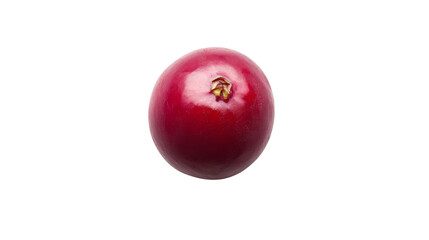 Cherry transparent background